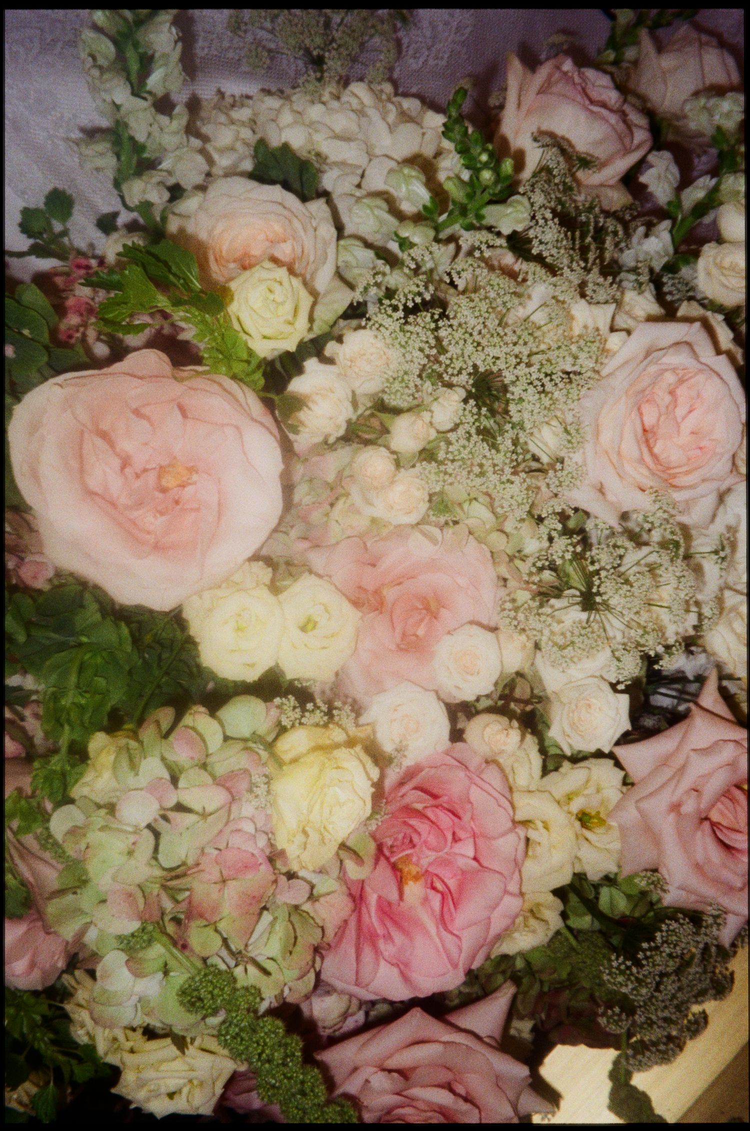 Lush bouquet of pink and cream roses, hydrangeas, and baby's breath arranged in a romantic, garden-style floral display.