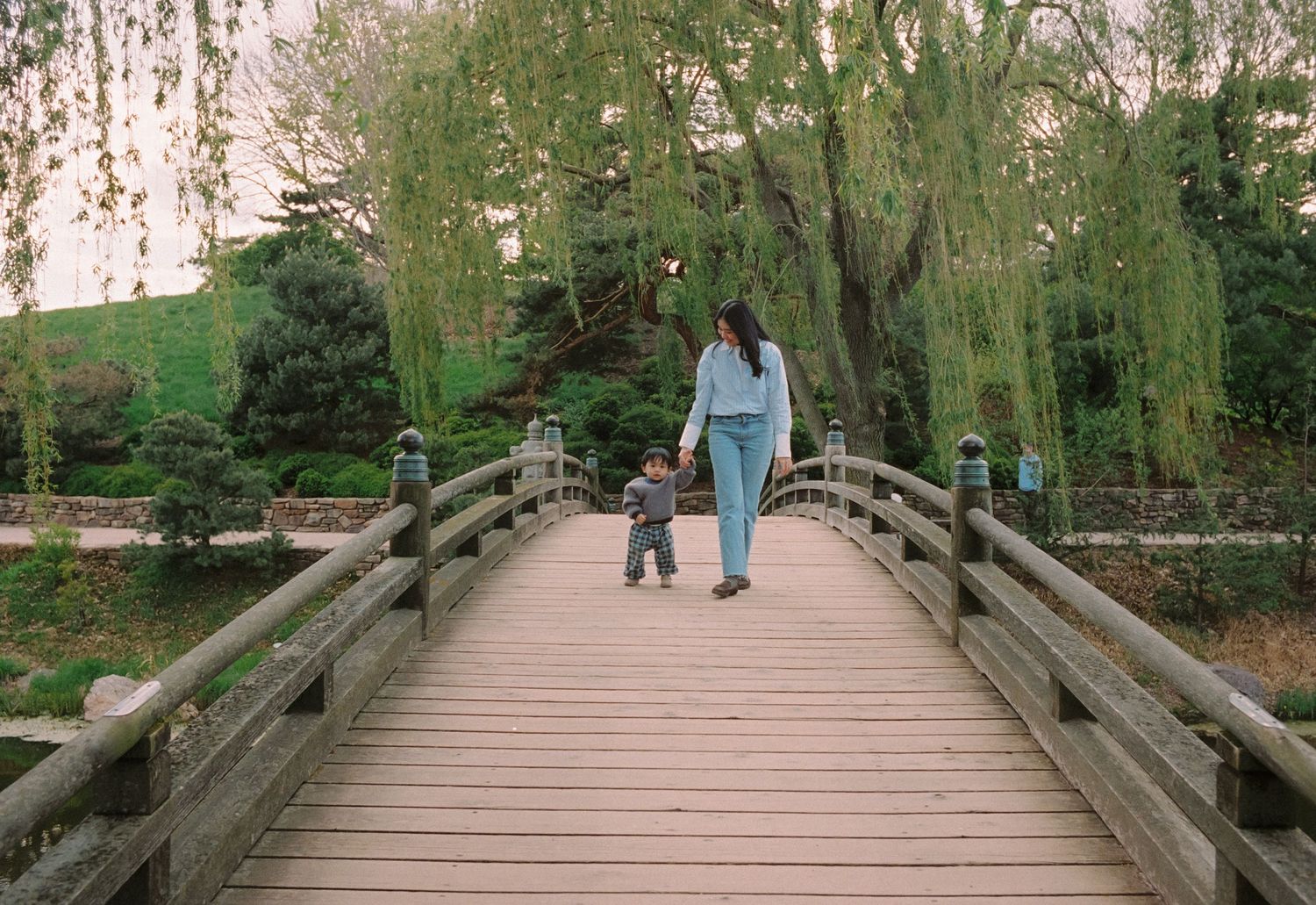 A mother and toddler walk hand-in-hand on a wooden arched bridge surrounded by weeping willow trees in a Japanese garden.