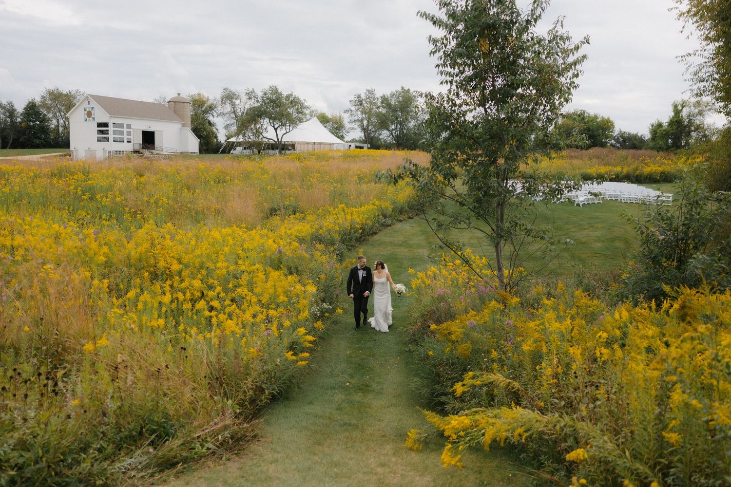 Drone view of newlyweds strolling along green garden path bordered by golden wildflowers near rustic white barn.
