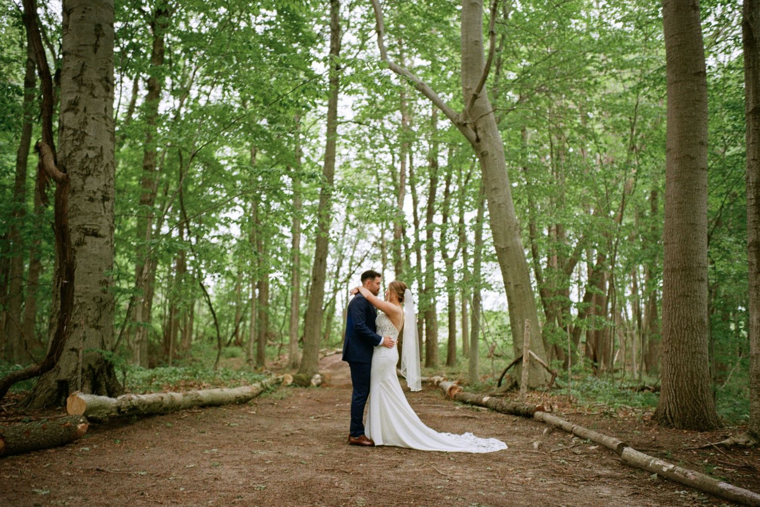 Bride and groom share a romantic kiss surrounded by tall trees in a lush forest wedding photo.