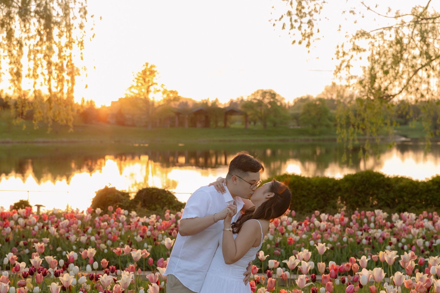 Couple kissing among pink tulips at sunset by a serene lake in a romantic garden setting.