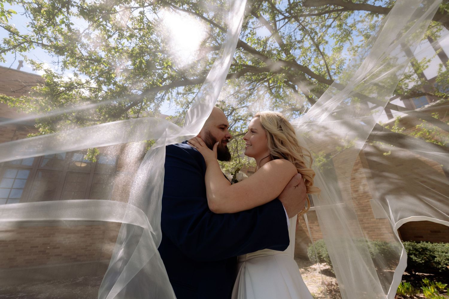 Bride and groom share a romantic moment under flowing wedding veil outdoors near a tree on their wedding day.