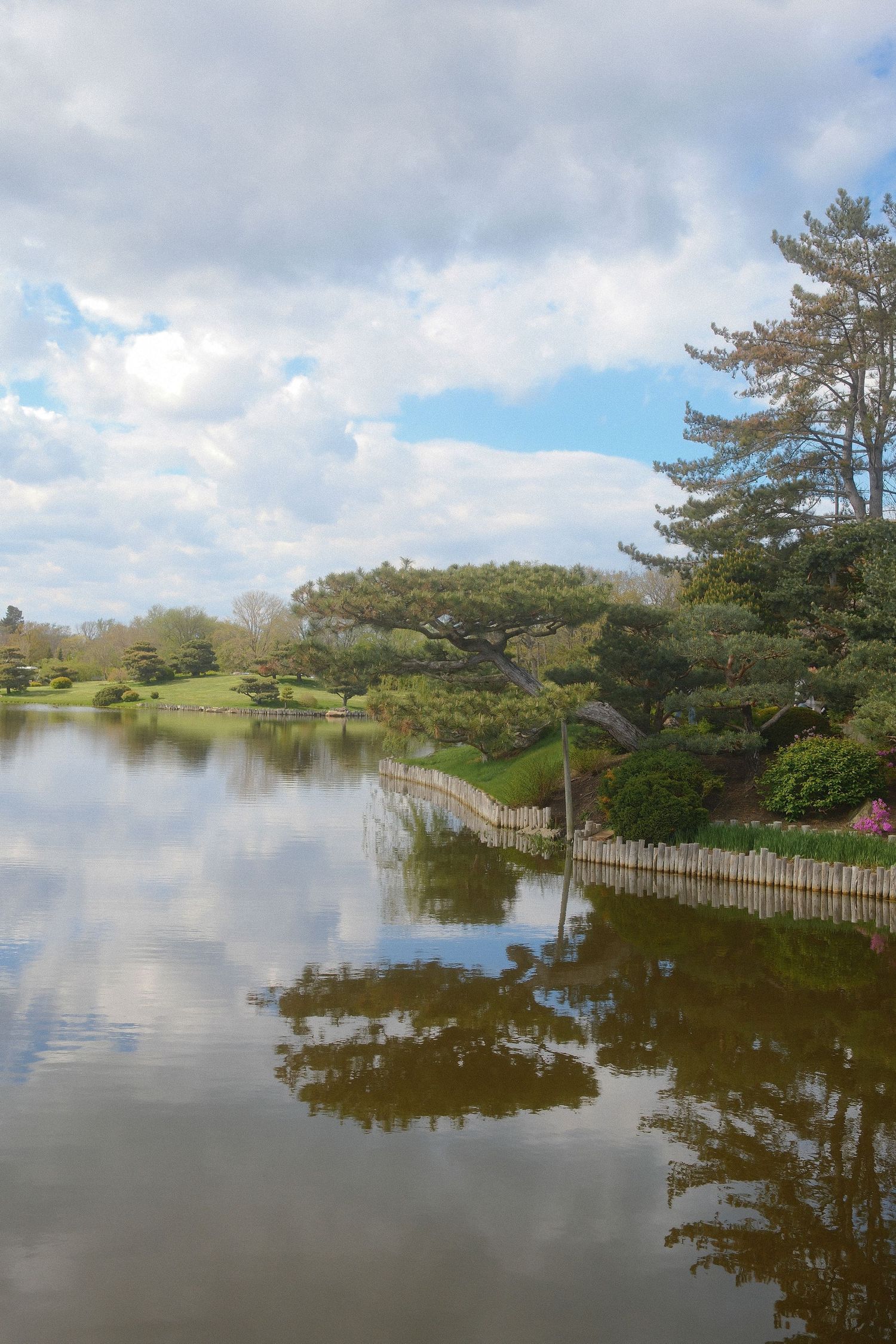 Serene Japanese garden pond reflecting clouds and lush trees, with bamboo fencing and manicured greenery under a partly cloudy sky.