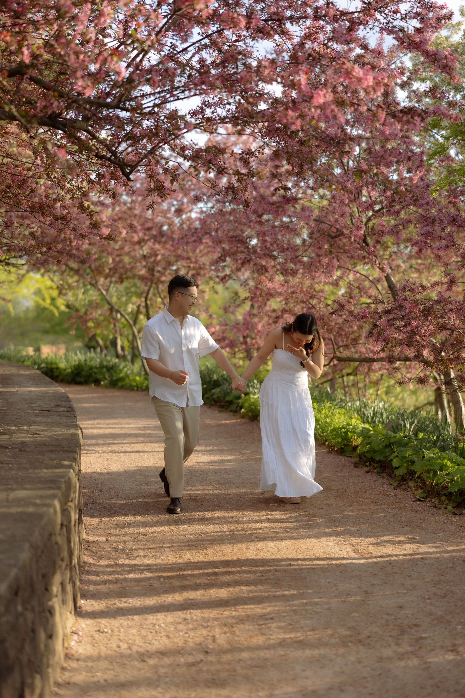 Couple holding hands walking under blooming pink cherry blossom trees on a garden path in spring.