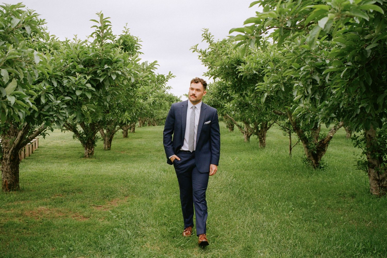 Handsome groom in navy blue suit walking through green orchard rows on cloudy wedding day.