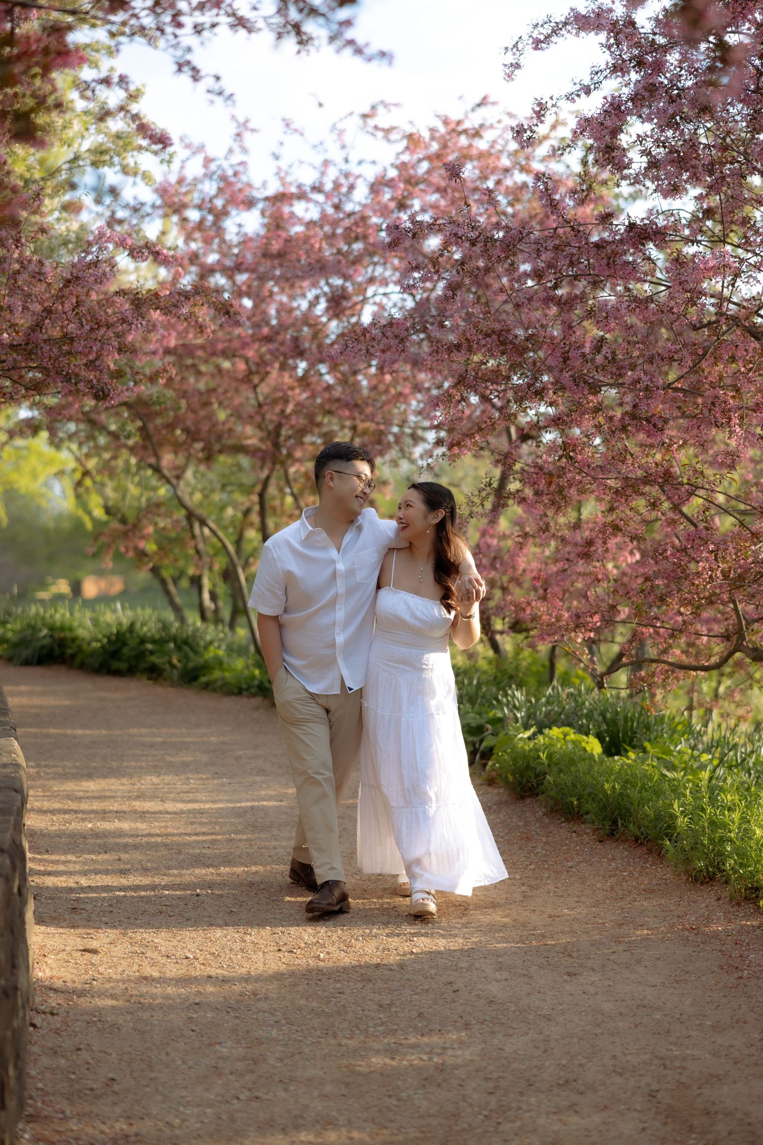 Couple walking among pink cherry blossom trees on a garden path, woman in white dress, man in white shirt.