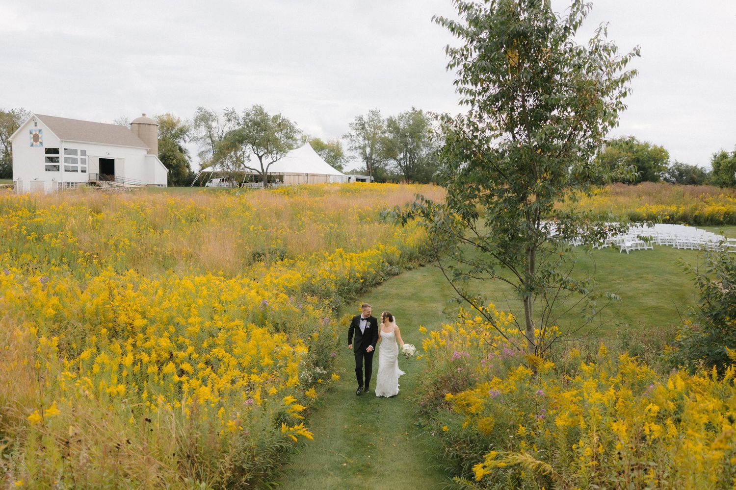 Aerial view of bride and groom walking a green path through golden wildflower fields near a white barn.