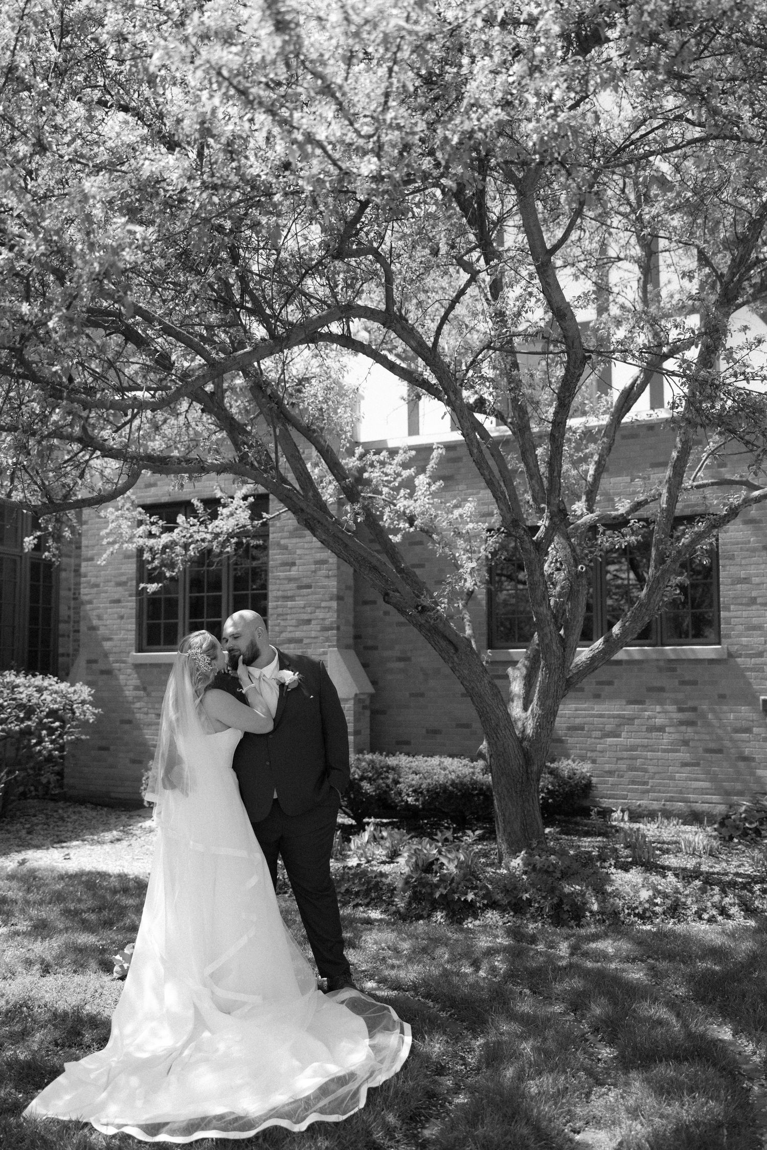 Black and white photo of a bride and groom kissing under a blooming tree outside a brick church.