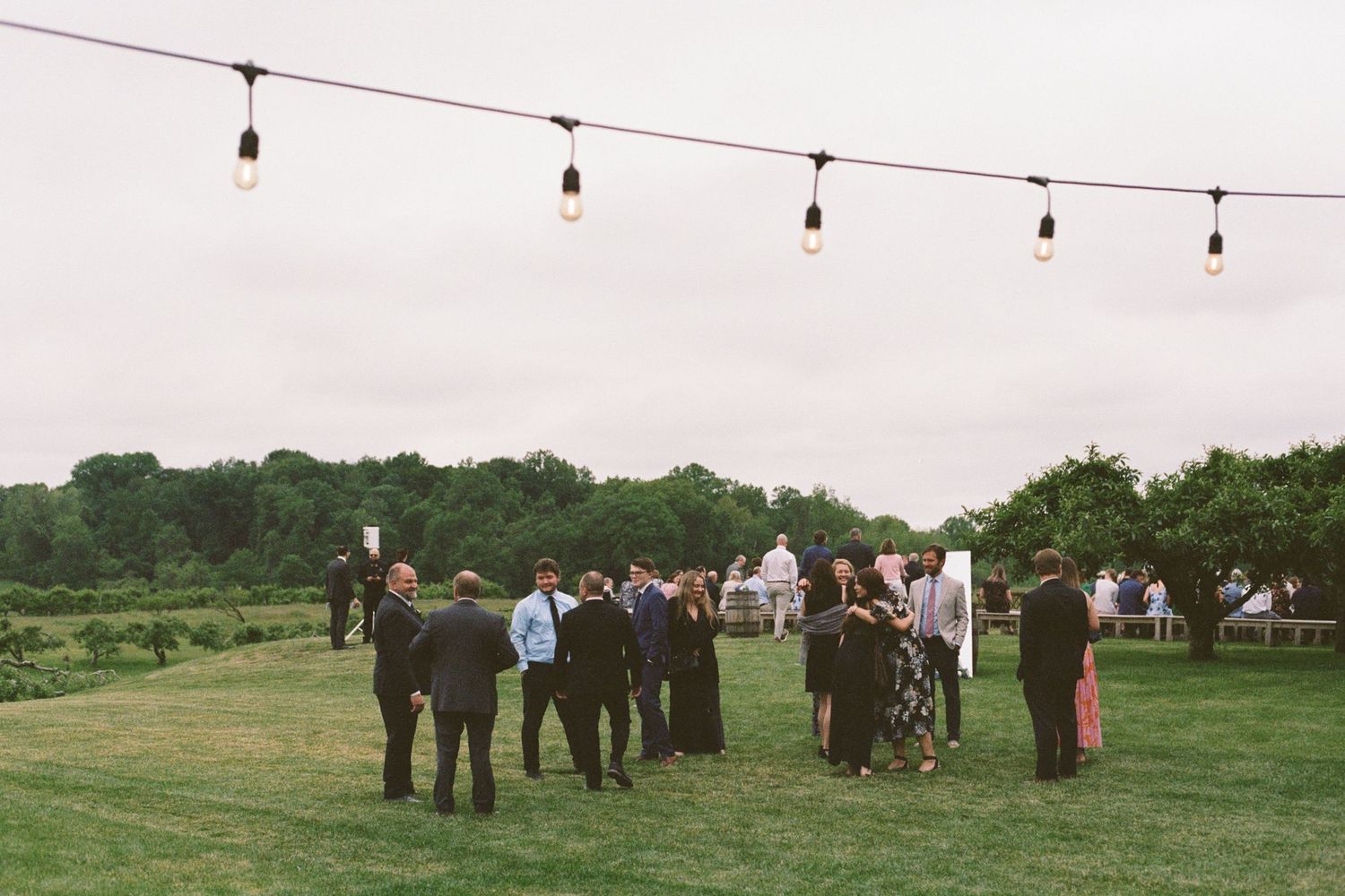 Outdoor wedding cocktail hour on green lawn with string lights overhead and guests mingling at dusk.