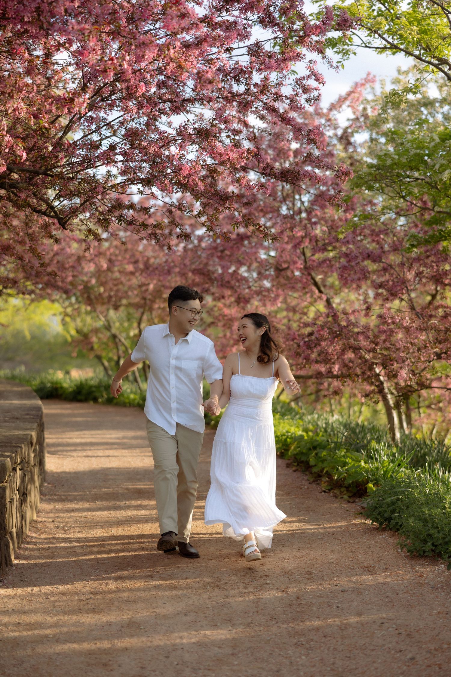 Couple in white outfits walking hand in hand along a path lined with blooming pink cherry blossom trees.