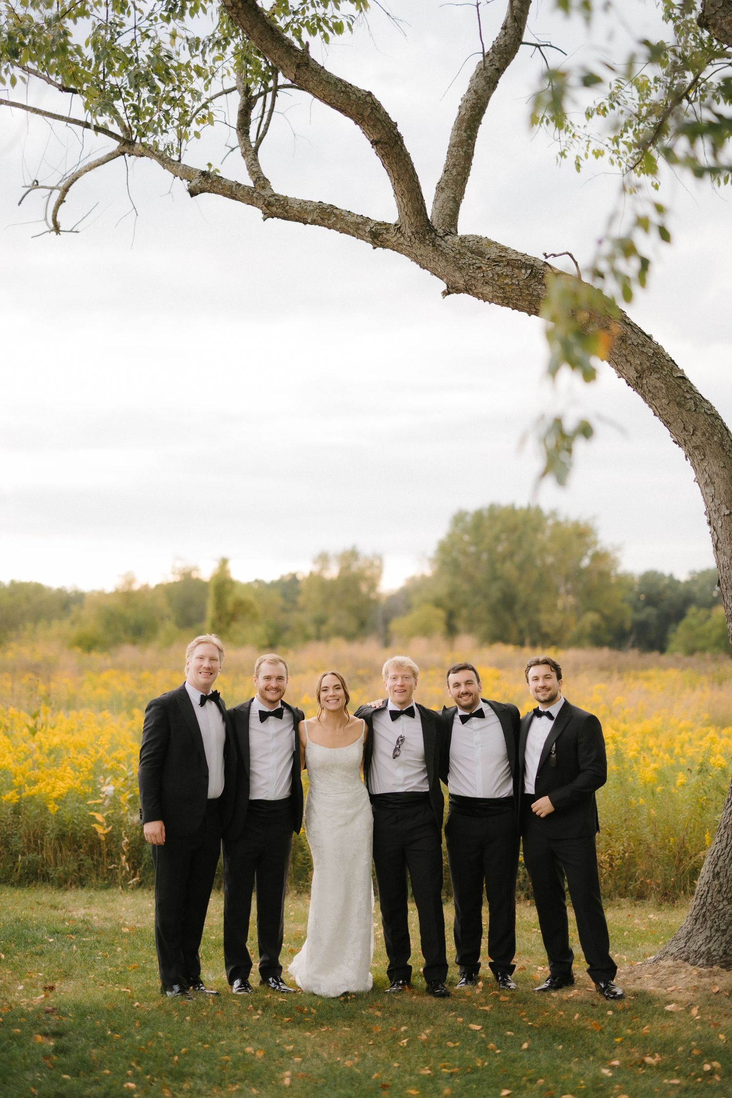 Bride in white gown with groomsmen in tuxedos posing under a tree in a golden field.