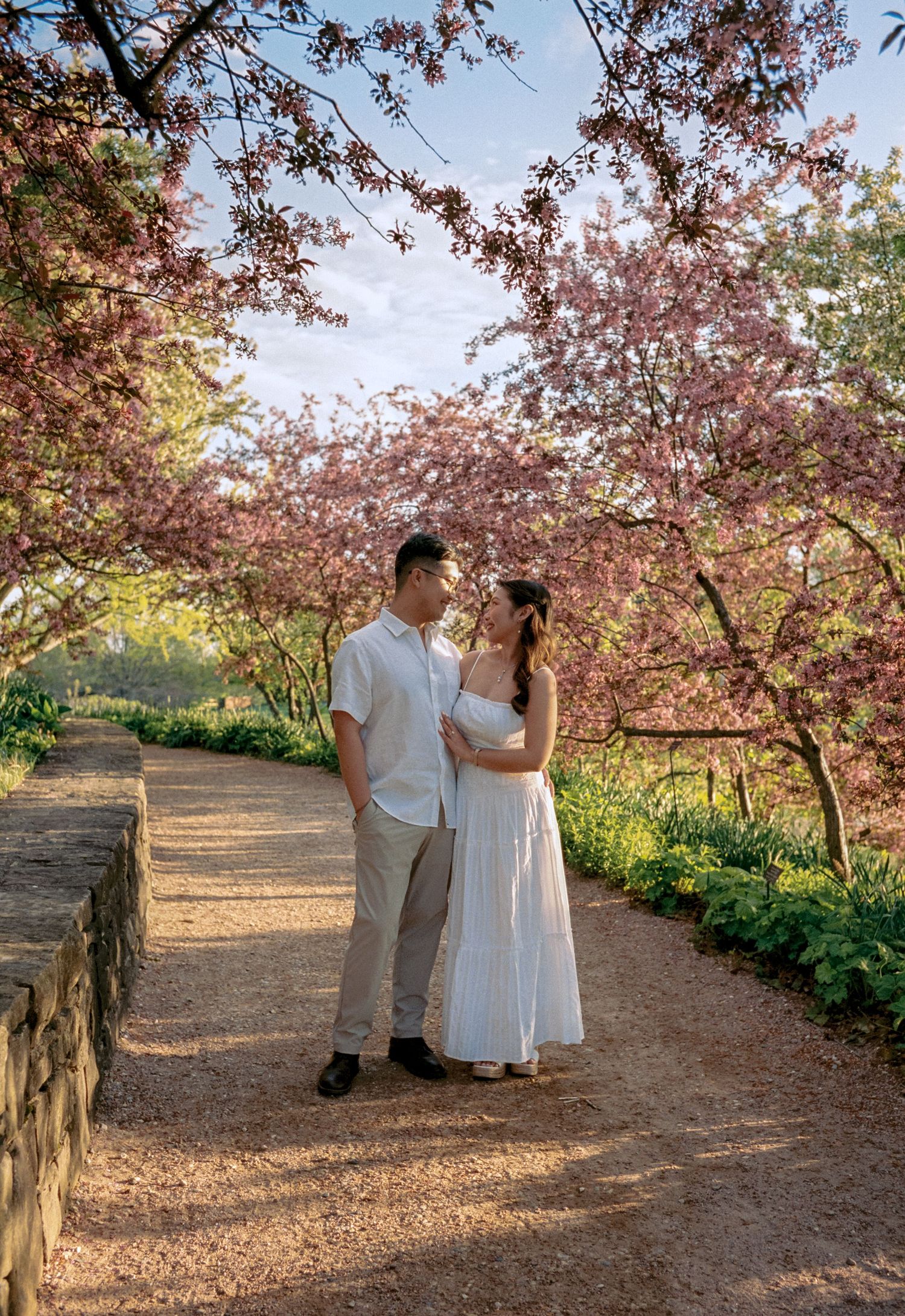 Couple in white embracing under blooming pink cherry blossom trees on a sunlit garden path in spring.