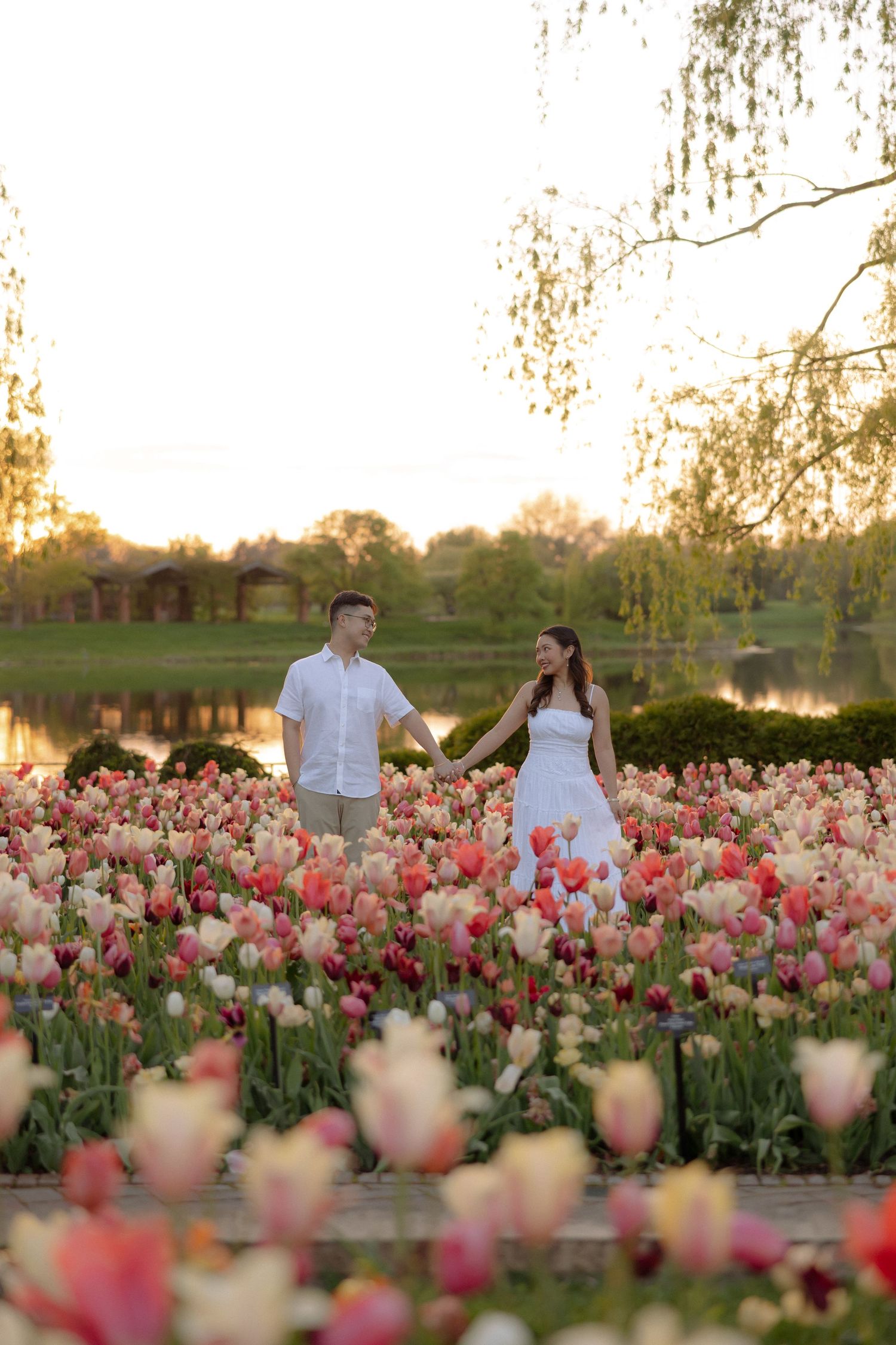 Couple holding hands in a vibrant tulip field at sunset, with a serene pond and willow trees in the background.