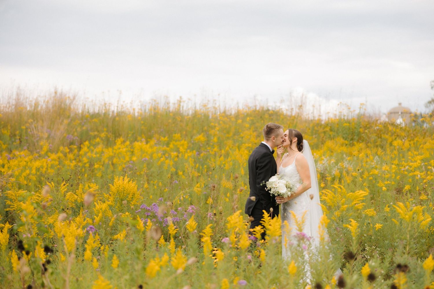 Wedding couple embracing and kissing in a stunning yellow wildflower meadow on their wedding day.
