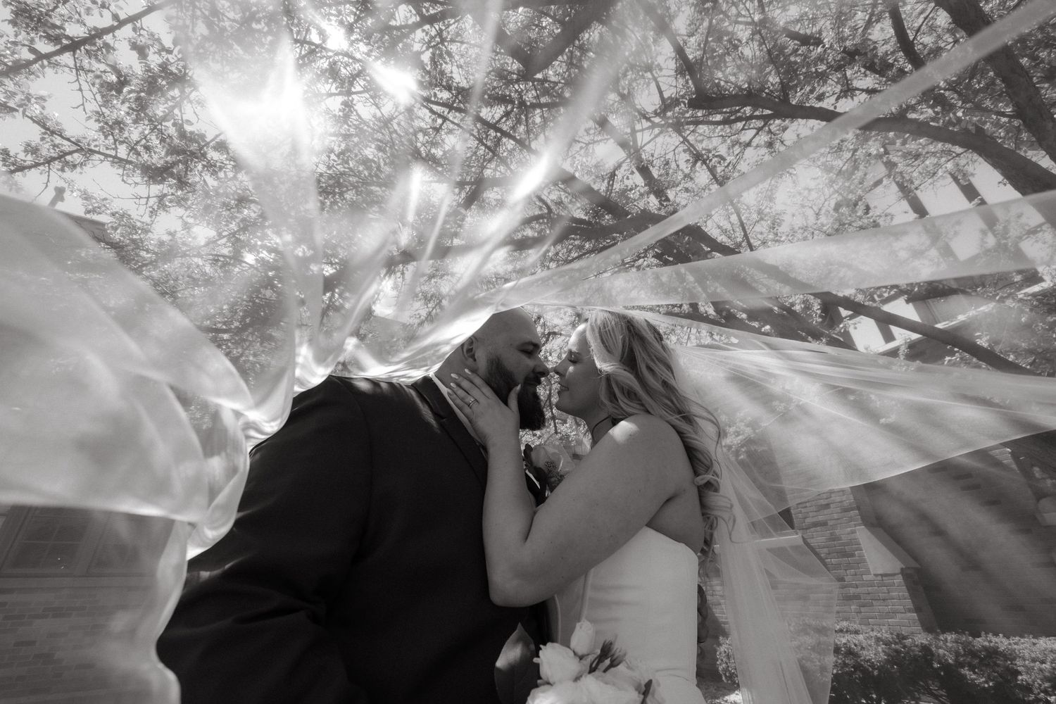 Black and white wedding photo of couple kissing under flowing veil with sunlight streaming through trees.