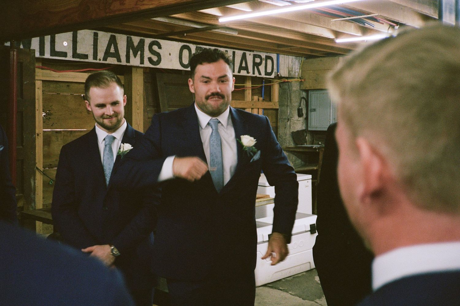 Men in navy suits fist bumping at a wedding reception inside a rustic barn with Williams Orchard sign.