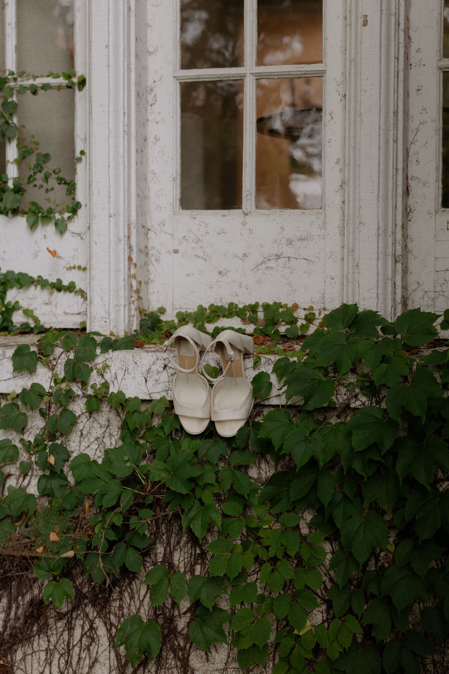 Elegant white bridal heels resting on a rustic windowsill surrounded by lush green ivy on a weathered white building.
