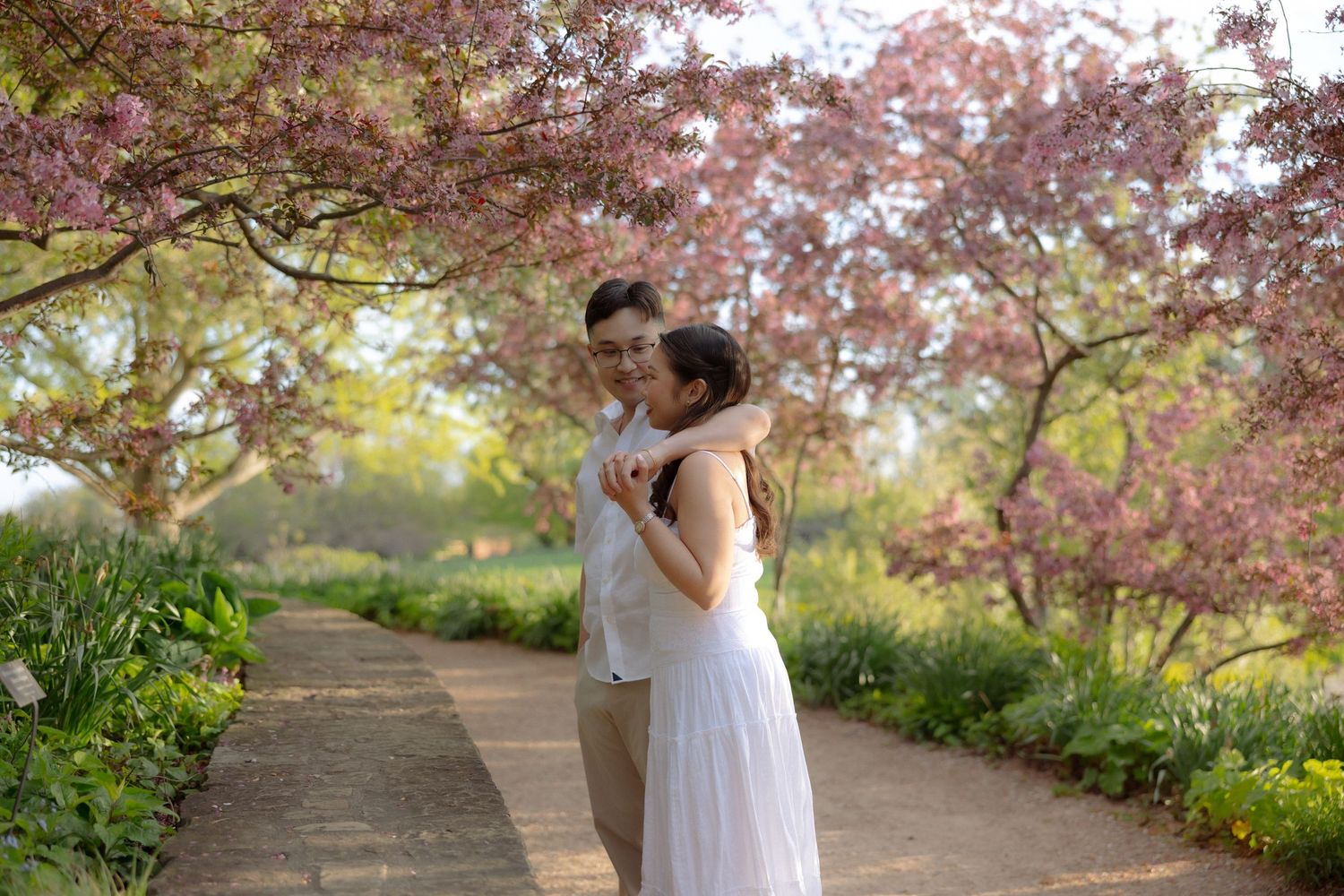 Couple embracing under blooming cherry blossom trees on a garden path in spring.