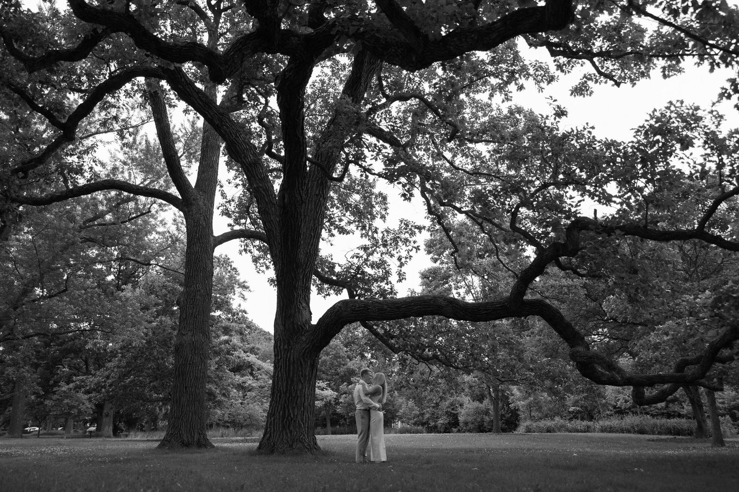 Black and white photo of a couple standing under a large oak tree in a park, likely at a wedding.