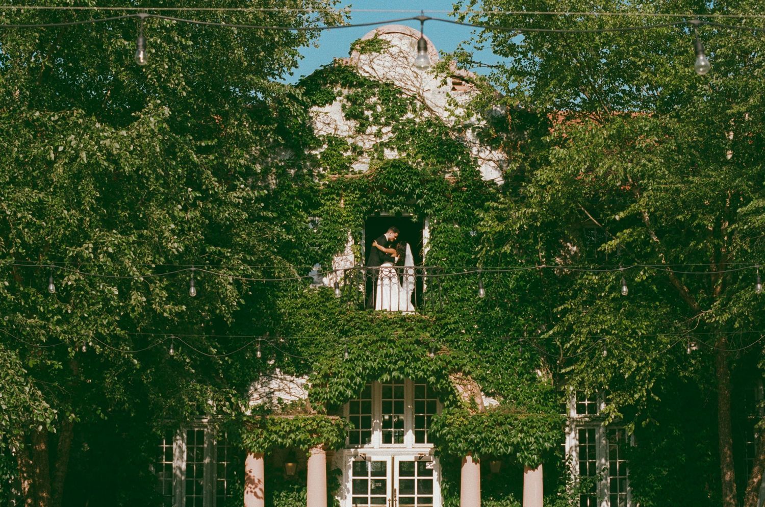 Ivy-covered historic mansion with white columns framed by lush green trees on a sunny day.