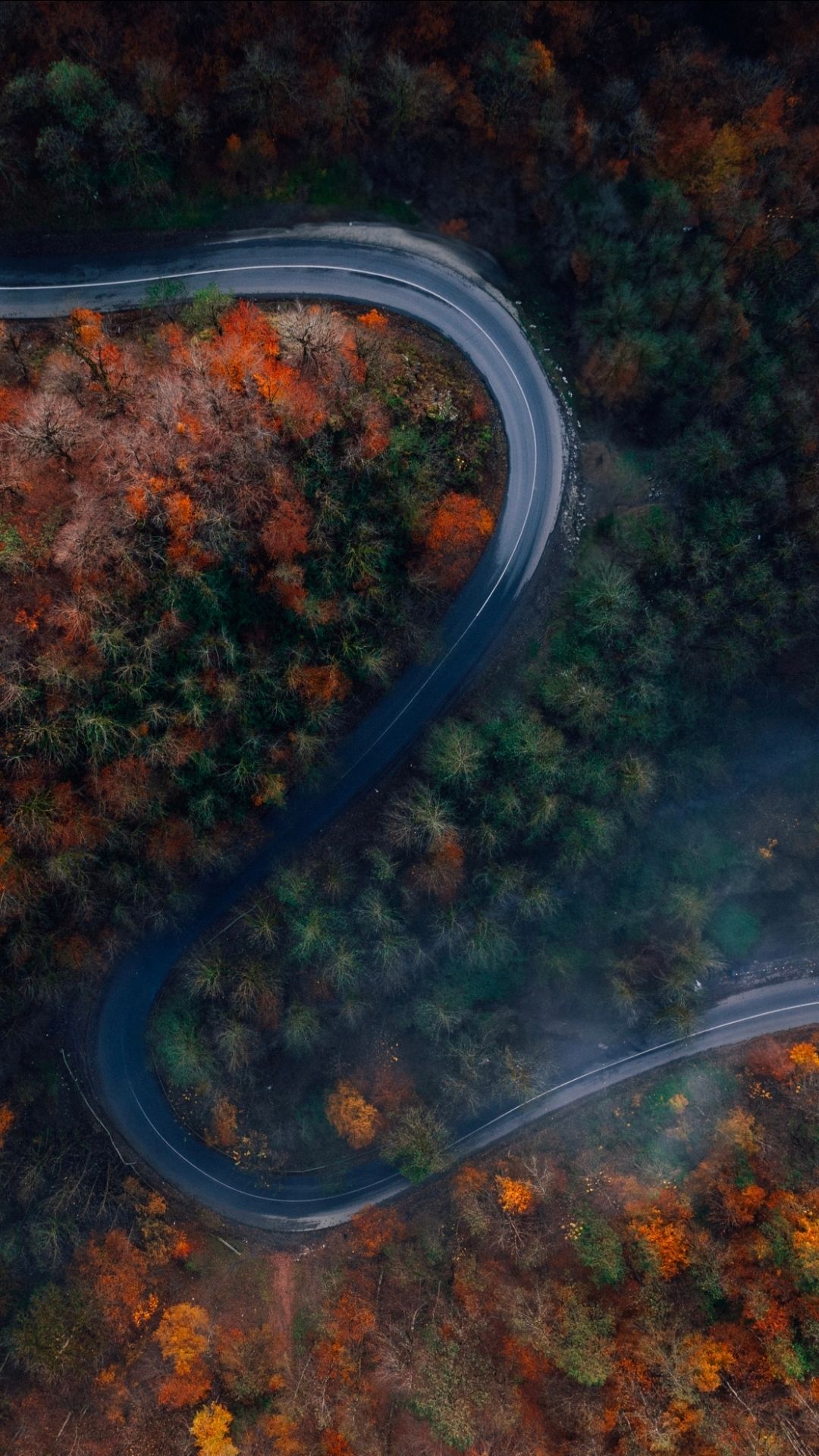 Aerial view of the Hyrcanian forest in northern Iran, a UNESCO World Heritage Site, showing autumn foliage in shades of gold, orange, and re