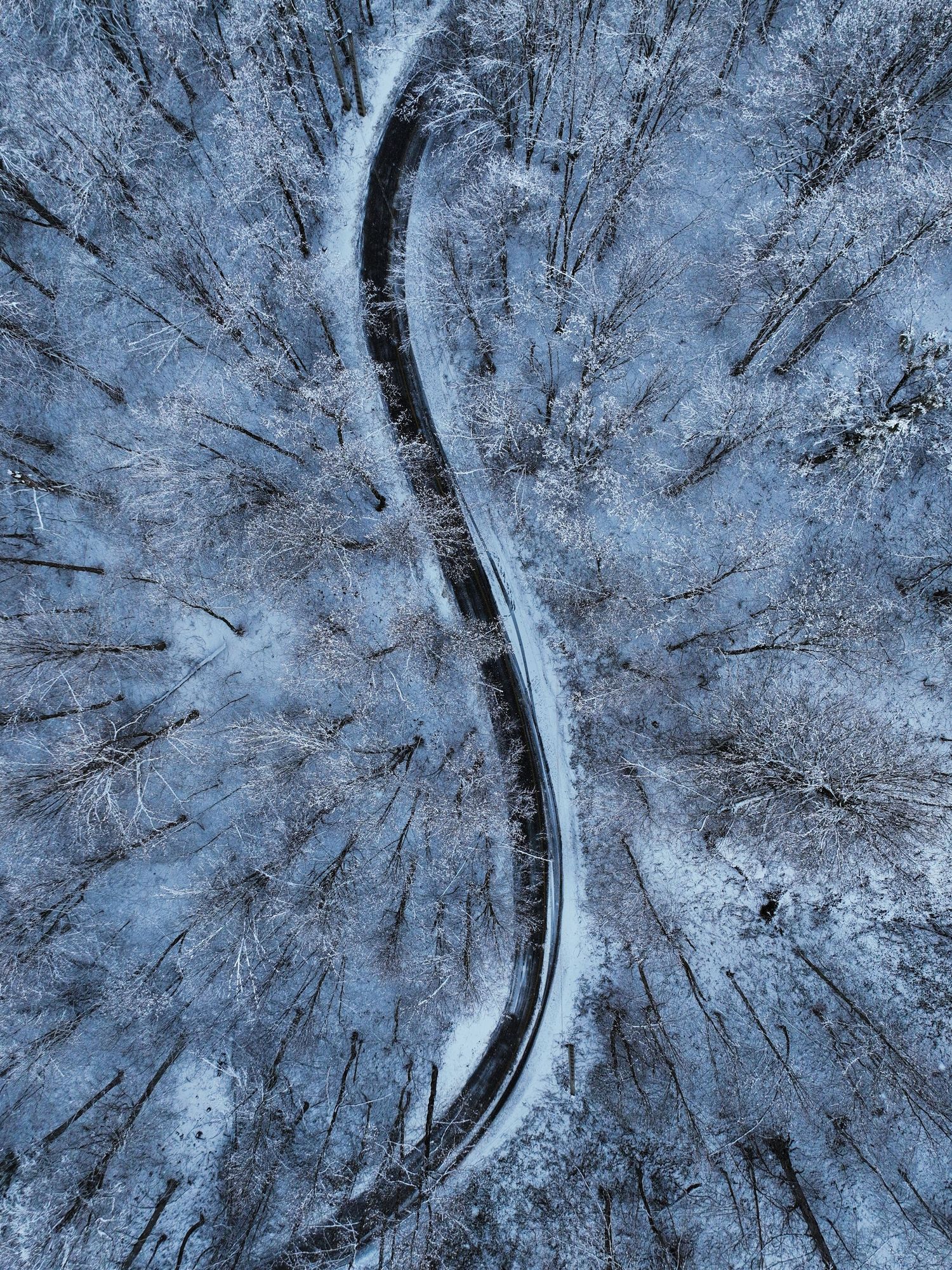Snow-covered winter aerial view of Hyrcanian forest, Iran — UNESCO World Heritage forest with a curved road winding through frosted trees.