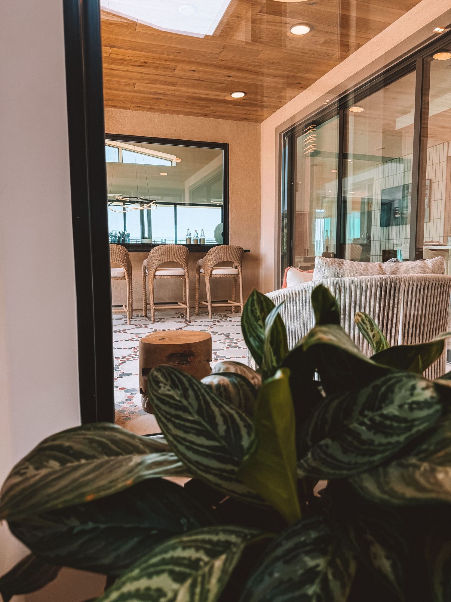 Tropical indoor patio with striped calathea plant, white sofa, bar stools, and sliding glass doors in a modern coastal space.