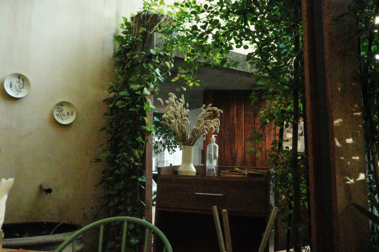 Damiana Cafe