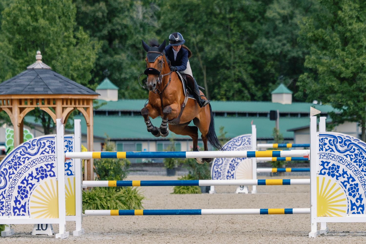 A horse and rider compete in a show jumping event with decorative blue and white jump standards on the course.