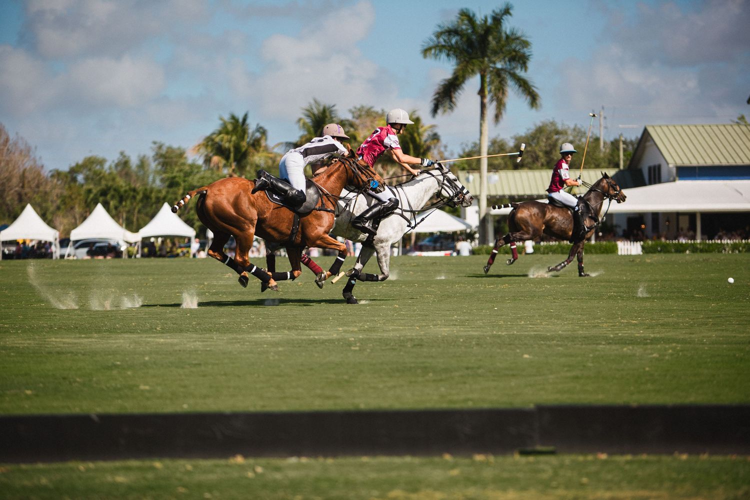 Aerial view of polo players competing on a manicured grass field with palm trees.