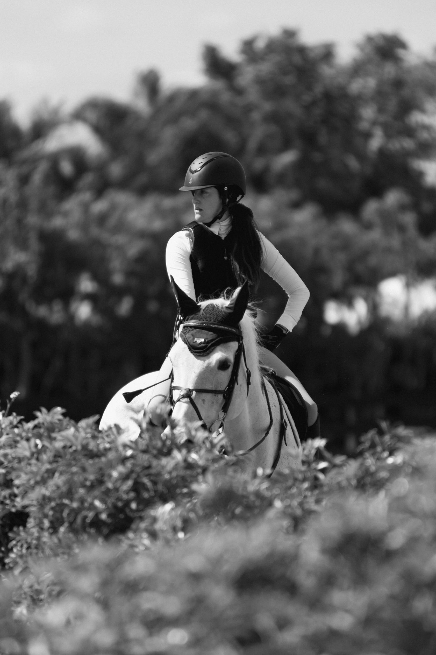 Monochrome image of equestrian jumping competition with palm trees in background.