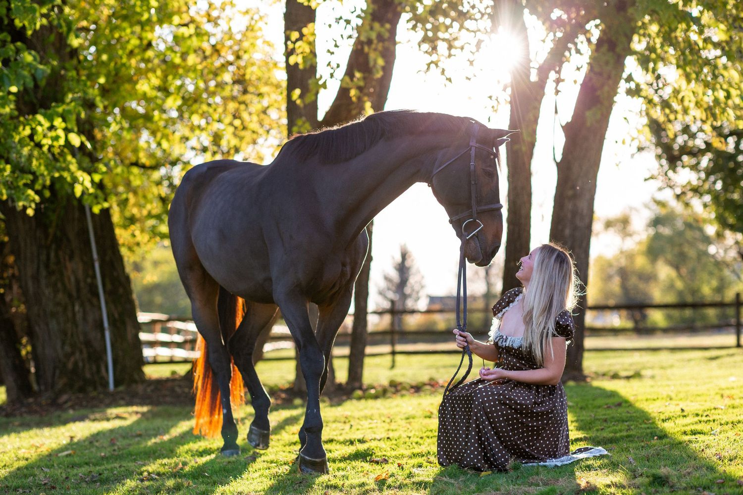Horse and companion share a moment in golden evening light beneath autumn trees.