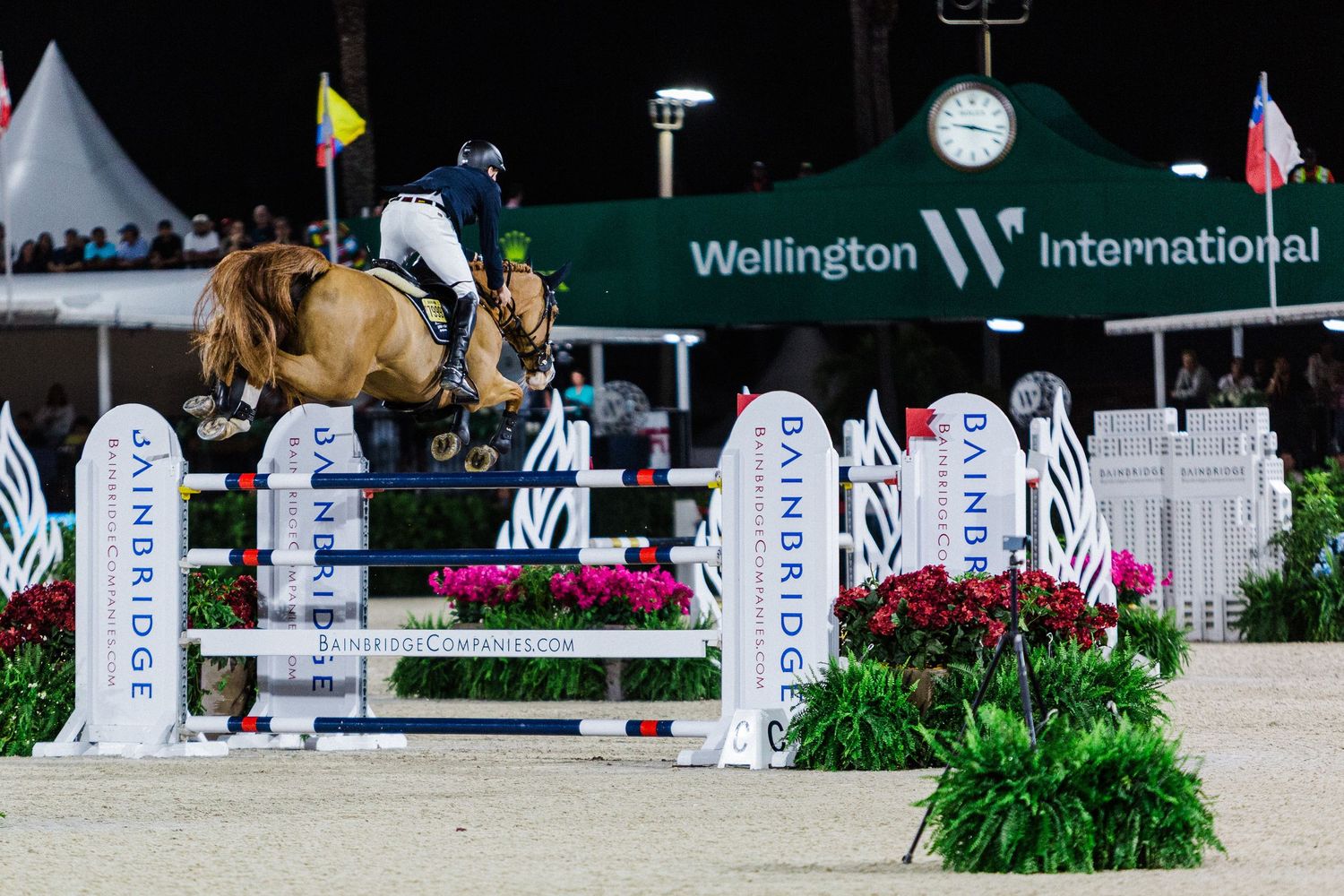 A show jumping competition arena with white fences, banners and decorative plants at an equestrian event.
