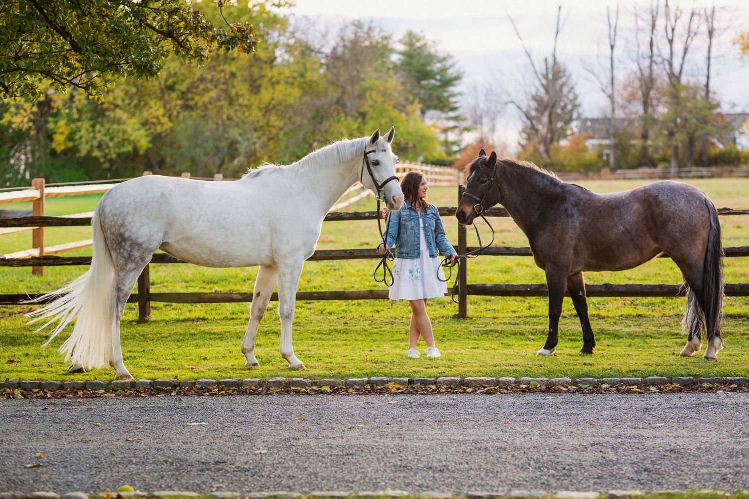 Girl standing between a white and dark brown horse by a wooden fence on a lush green farm.