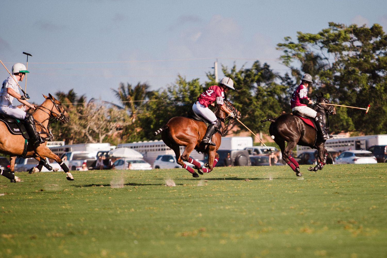 Wide angle view of polo players competing during a sunny match.
