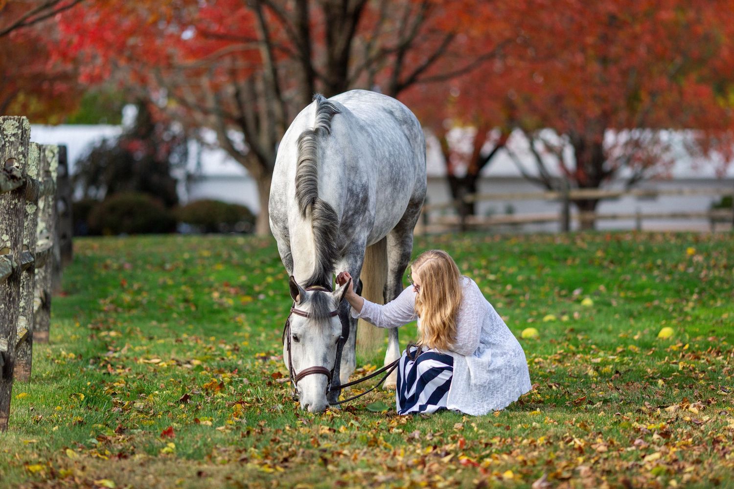 Blonde woman sitting on grass beside a gray horse grazing in an autumn park with red foliage.