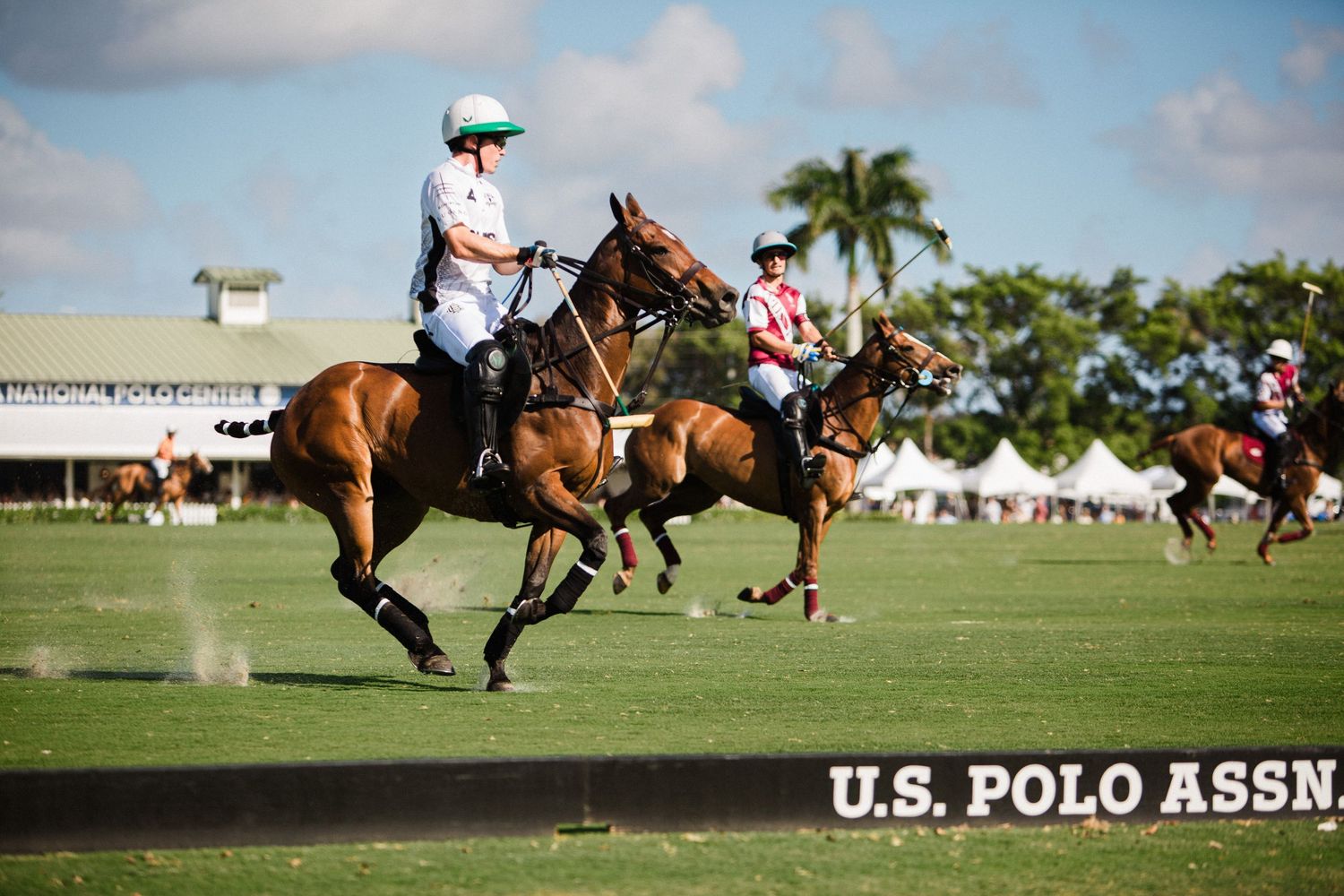 Professional polo match in progress with players racing across a sunny field.