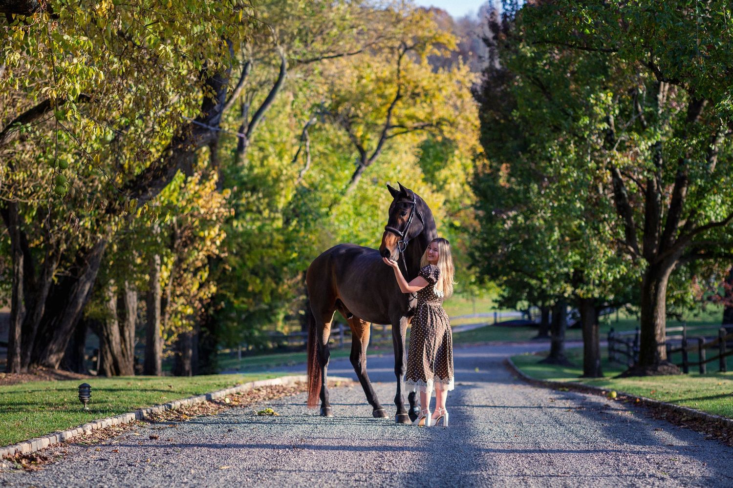 Woman in a flowy dress stands with a dark bay horse on a tree-lined gravel path in autumn.
