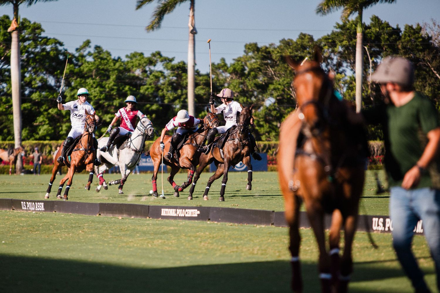 Polo players on horseback compete during a match on a green field with palm trees in the background.