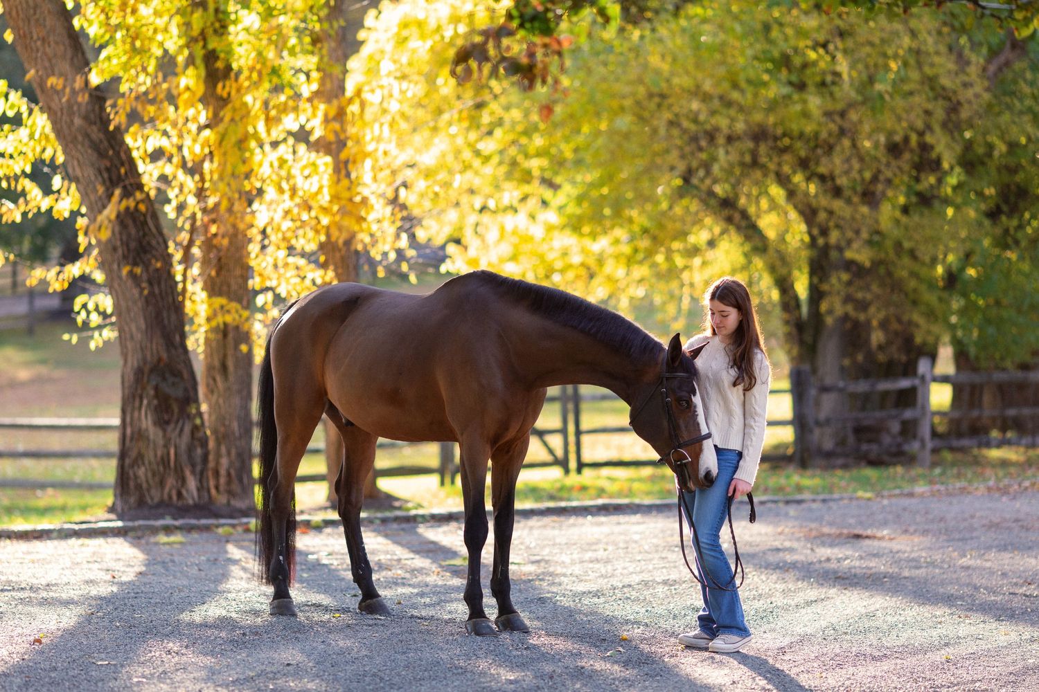 A horse and handler walk along a sunlit path with golden autumn trees in the background.