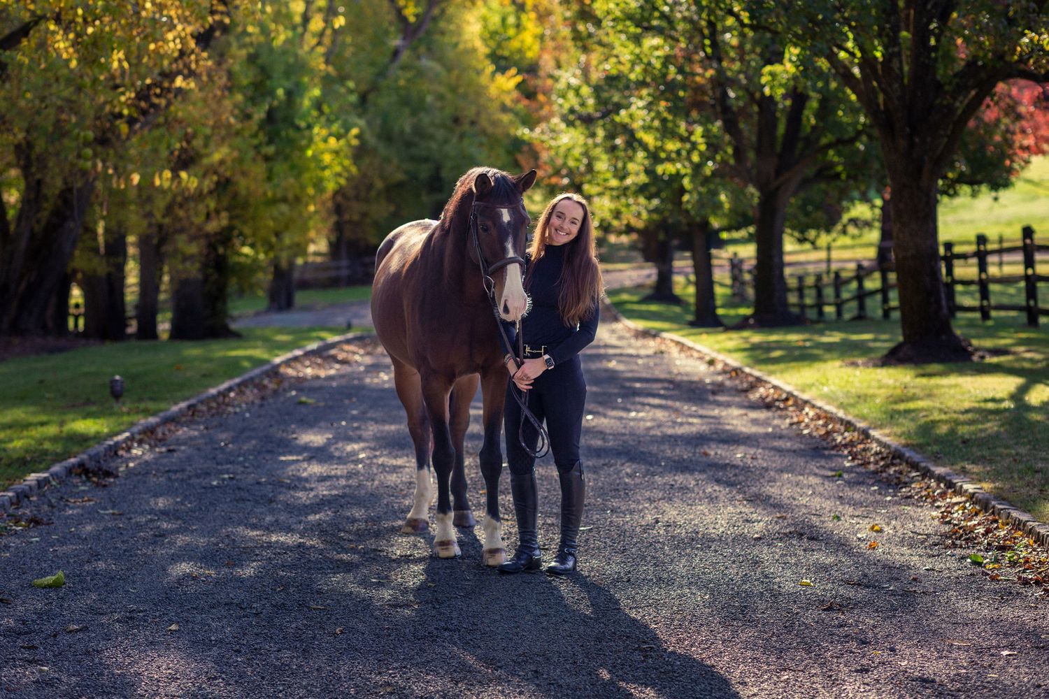 A dark horse and companion stroll along a scenic autumn path with golden foliage.