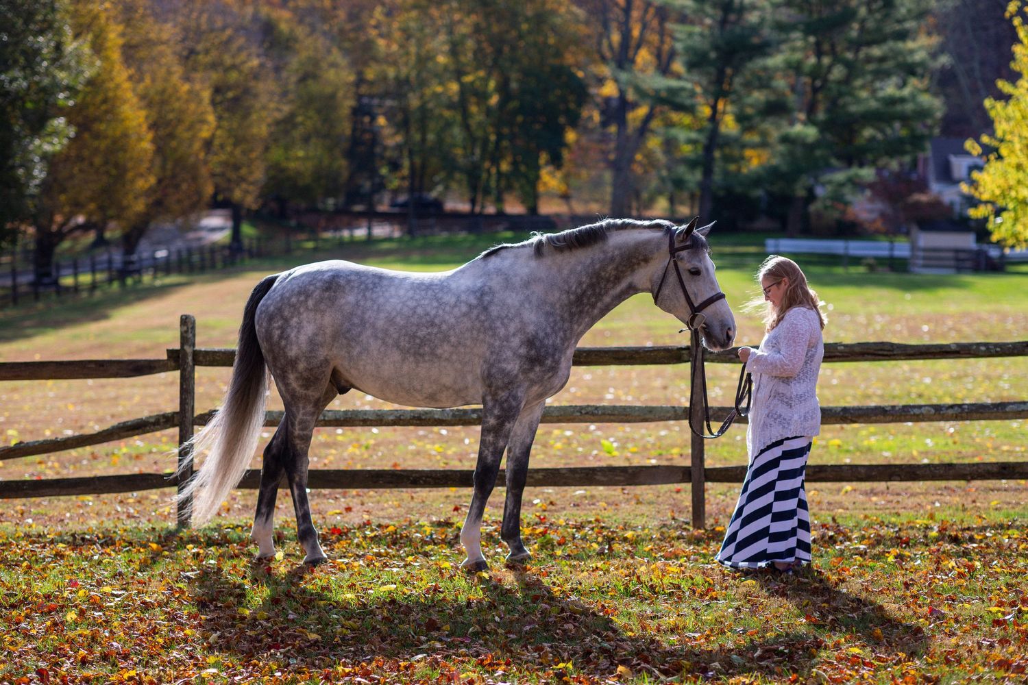 A sequence of equestrian training photos showing a horse and rider practicing movements in a fall landscape.