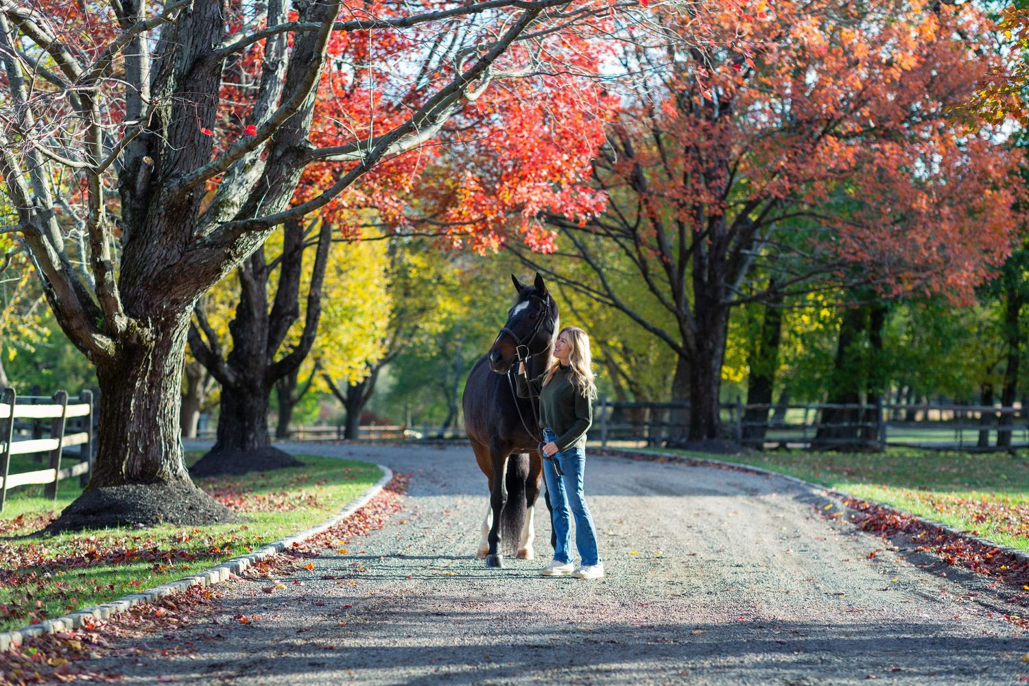 Horse and companion walk beneath red maple trees on a scenic autumn path.