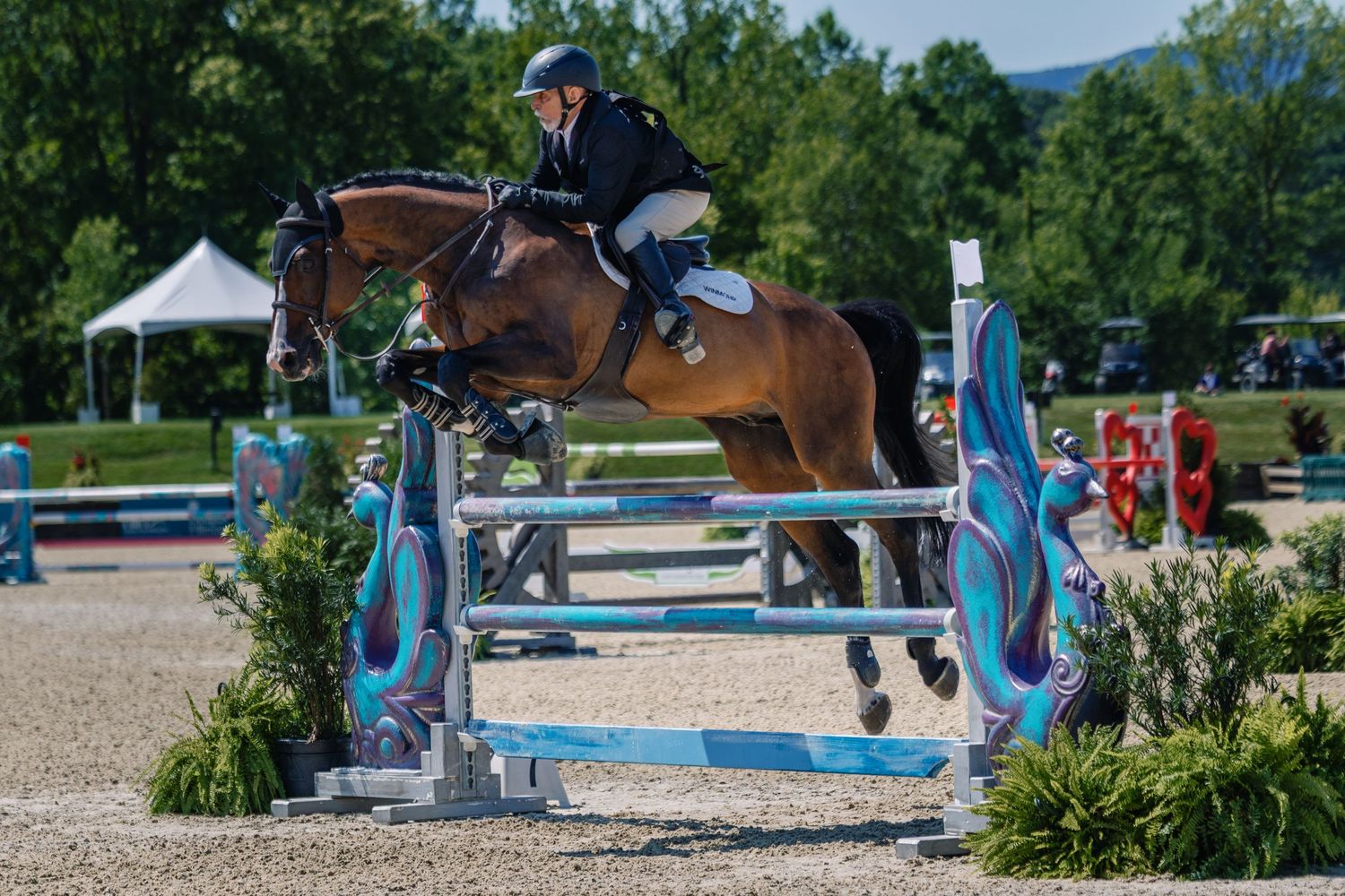 Show jumping competition featuring blue and white decorated obstacles in an outdoor arena setting.