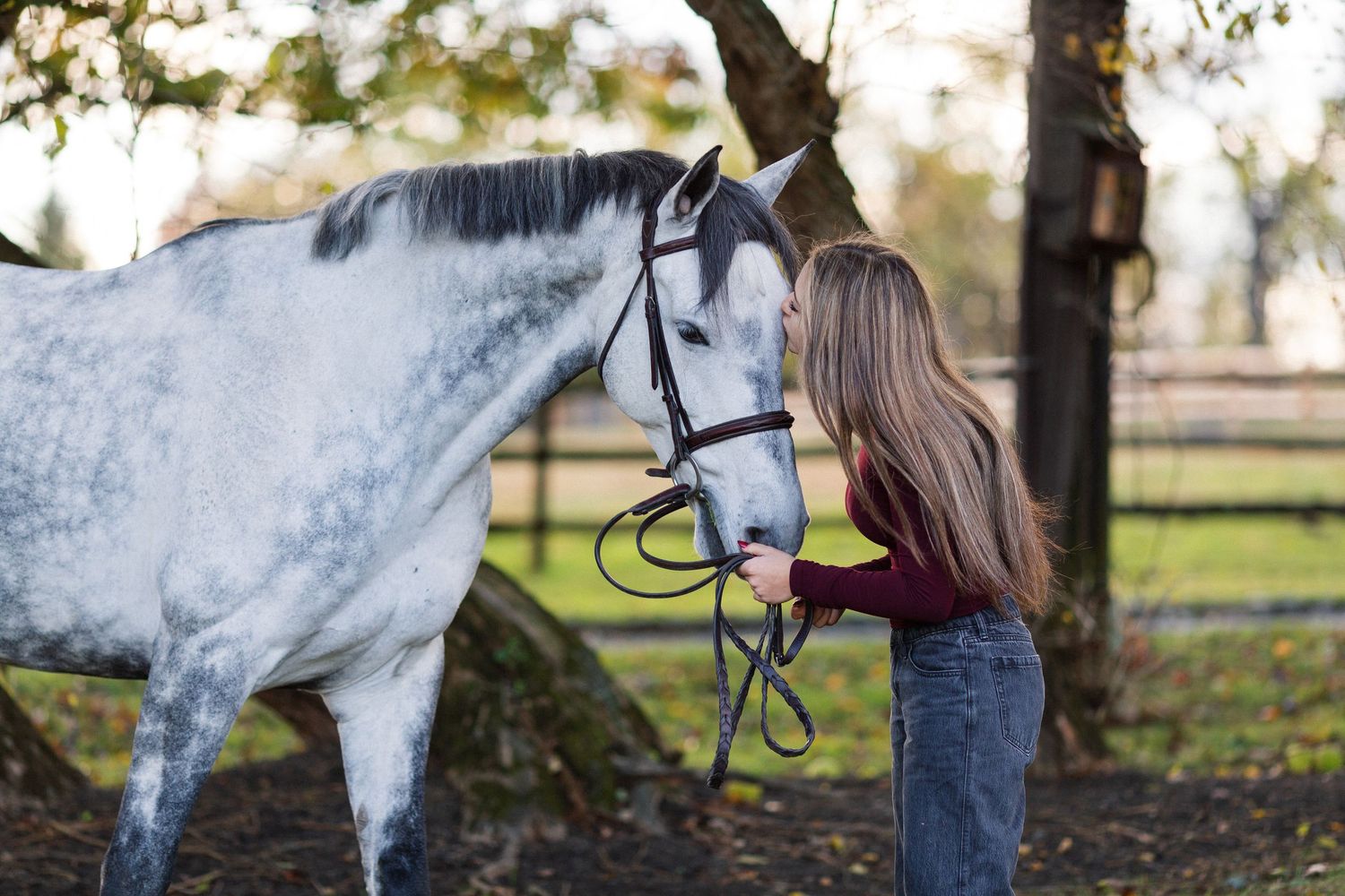 A dappled grey horse receives affection in a rustic paddock setting.
