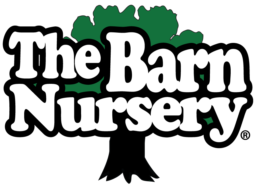 A black and white logo for The Barn Nursery featuring a green tree silhouette with bold retro-style text.
