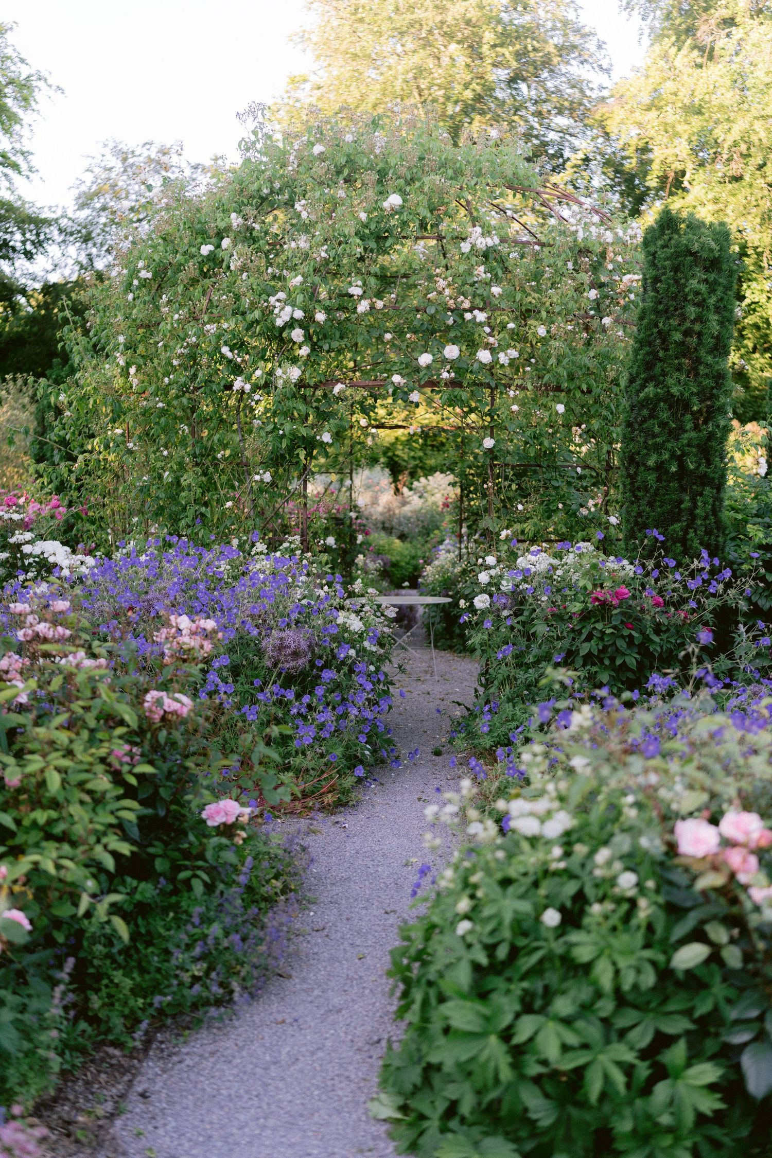 A charming garden path leads through a floral archway covered in white roses, surrounded by pink blooms and purple flowers.