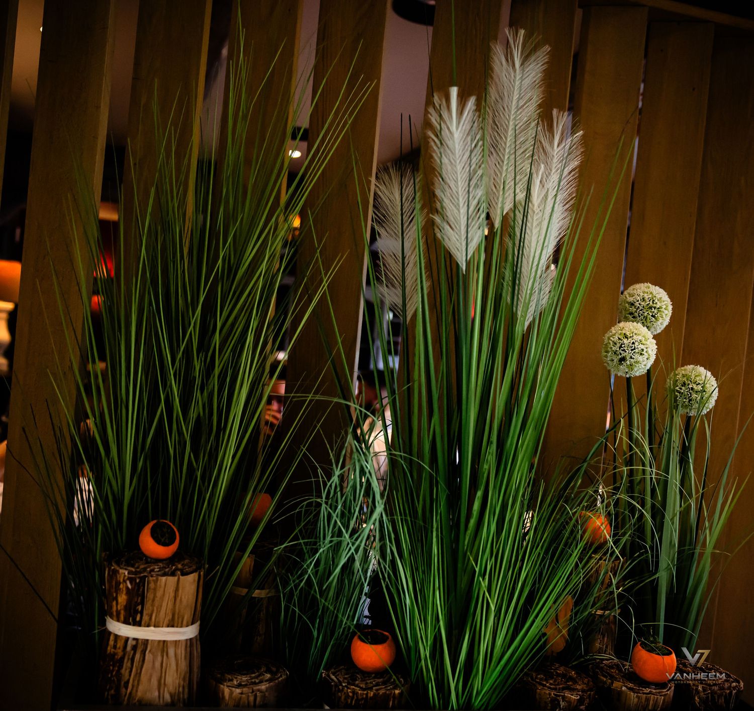 Tall decorative green grass plants with white pampas plumes and allium flowers in rustic wooden pots indoors.