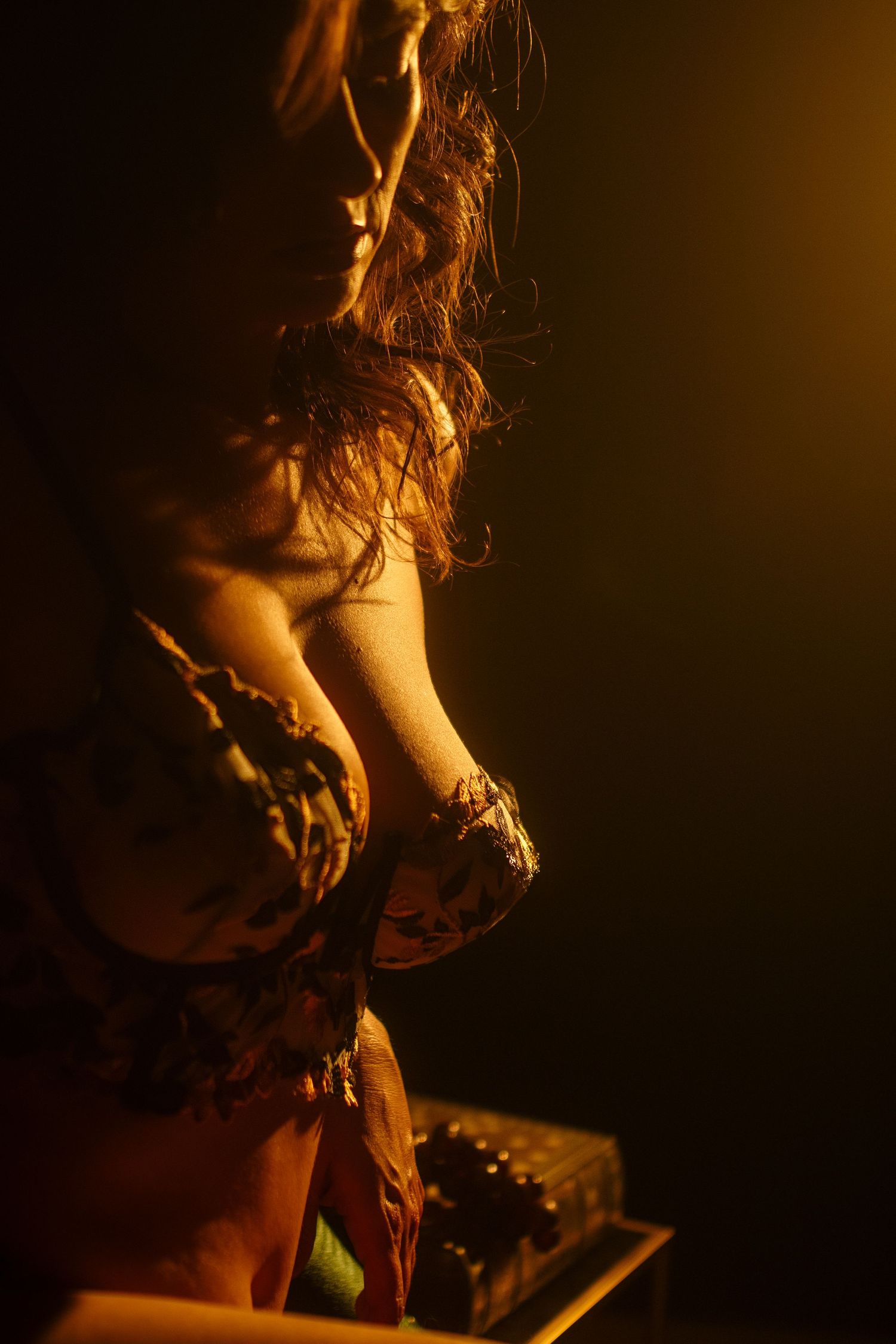 Artistic silhouette portrait in warm amber lighting shows a figure with flowing hair in dramatic shadows.