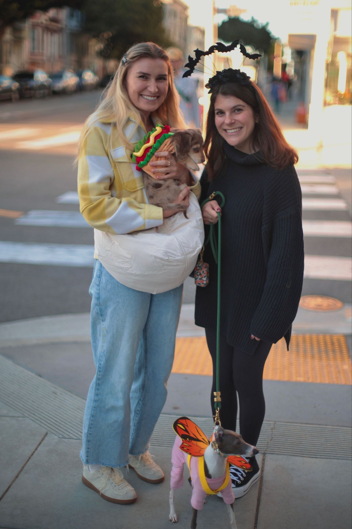 Two women in Halloween costumes holding small dogs dressed up, standing on a city sidewalk at sunset.